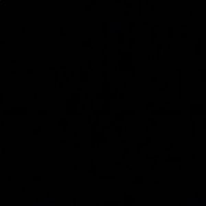 Meet your Posher, Nguyen